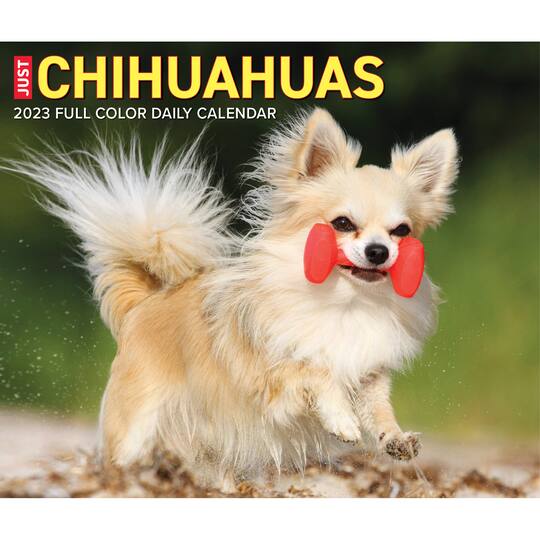 2023 Chihuahuas Box Calendar Michaels
